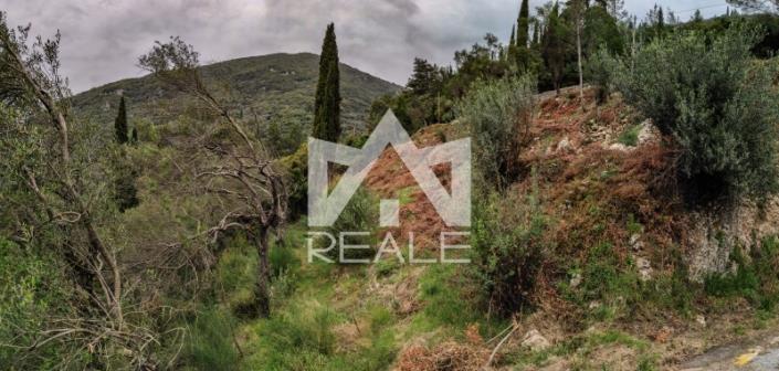 Image No.5-Plot for sale