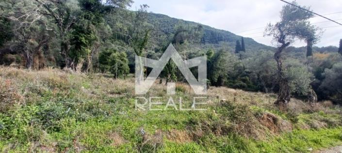 Image No.3-Plot for sale