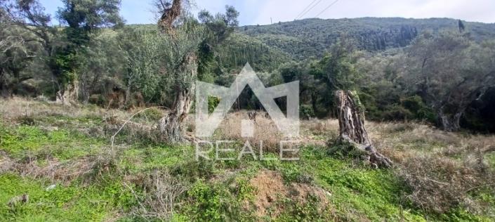 Image No.6-Plot for sale