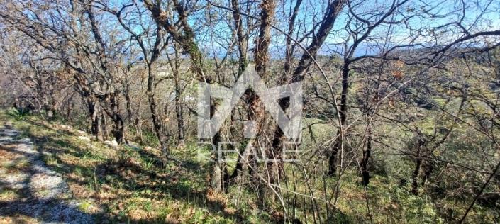 Image No.2-Plot for sale