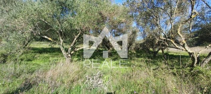 Image No.3-Plot for sale