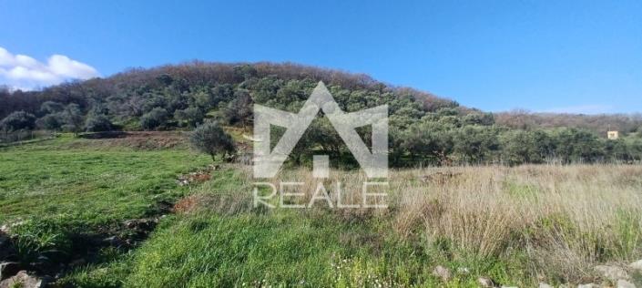 Image No.6-Plot for sale