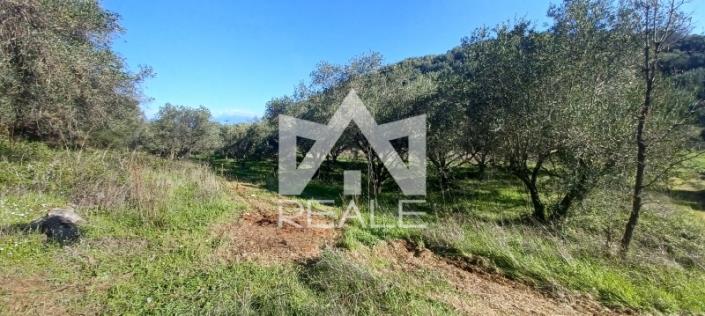 Image No.5-Plot for sale