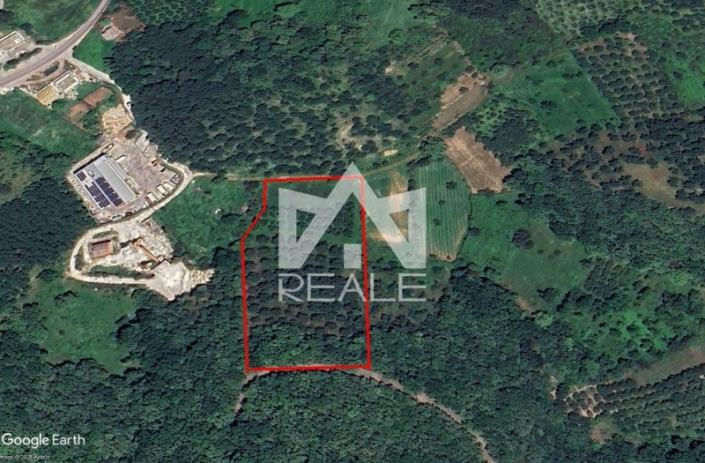 Image No.7-Plot for sale