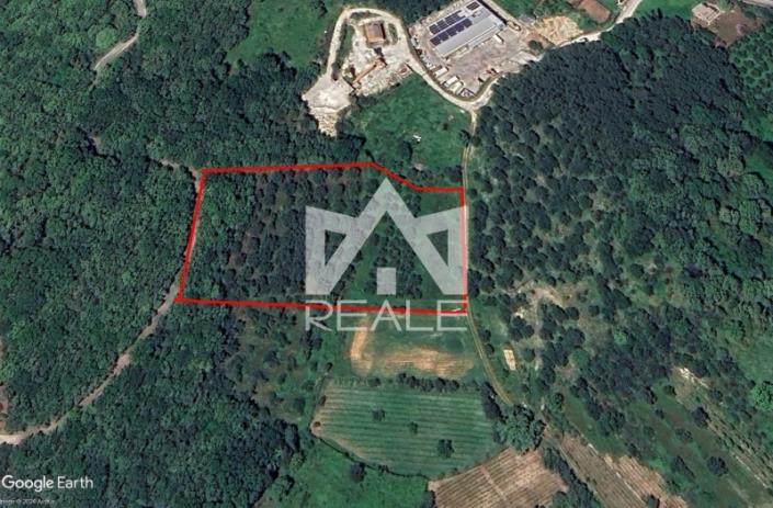 Image No.8-Plot for sale