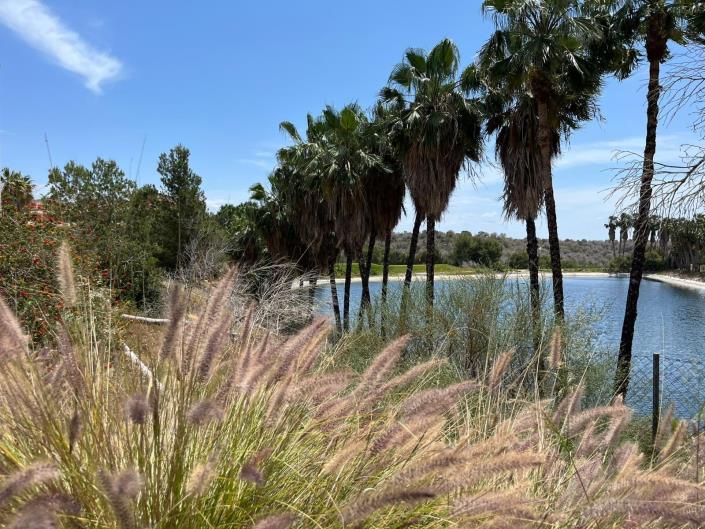 Image No.22-2 Bed Apartment for sale