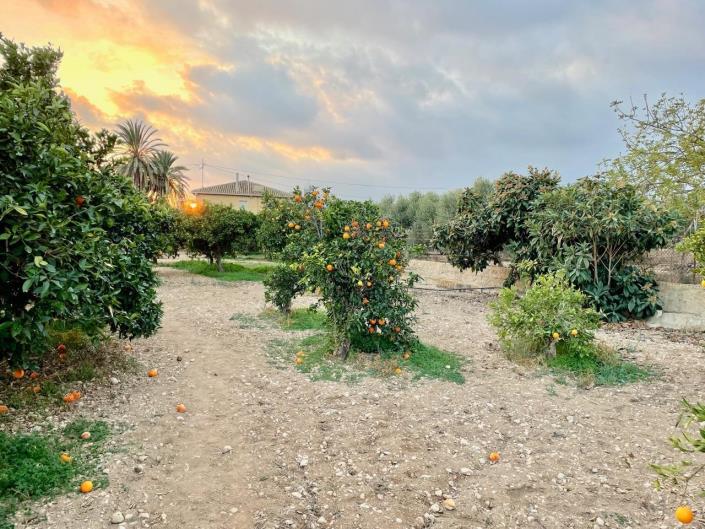 Image No.26-5 Bed House/Villa for sale