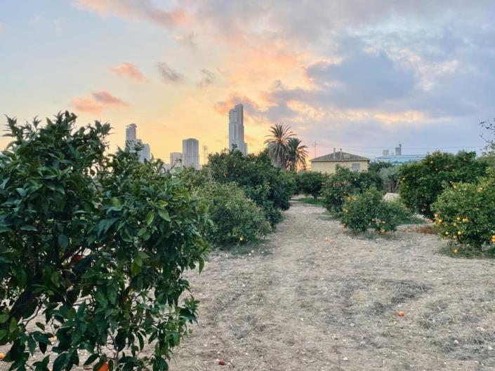 Image No.27-5 Bed House/Villa for sale