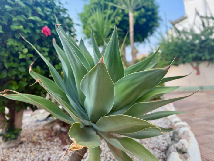 Image No.33-3 Bed Townhouse for sale