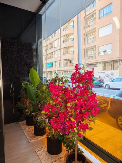 Image No.2-1 Bed Apartment for sale