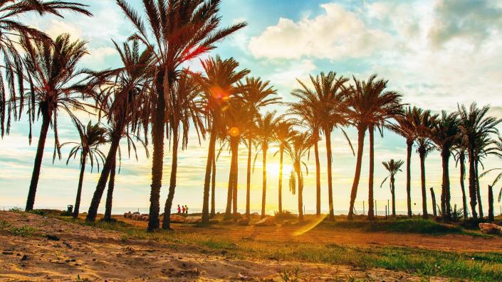 Image No.49-3 Bed Villa / Detached for sale