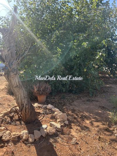 Image No.24-3 Bed Finca for sale