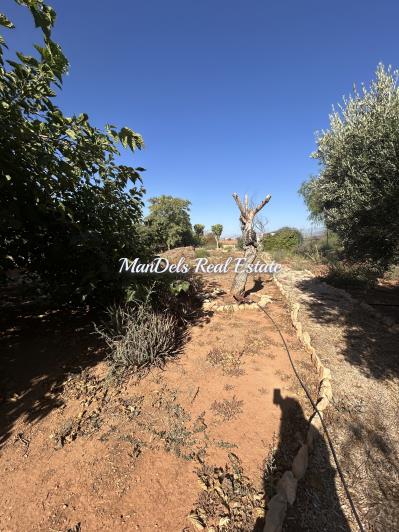 Image No.26-3 Bed Finca for sale