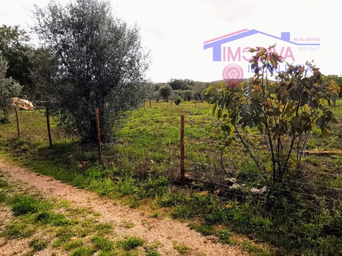 Image No.8-Plot for sale