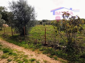 id897c7501-0000-0500-0000-0000124ce5dd