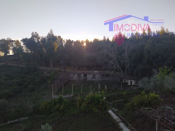 Image No.31-3 Bed House for sale