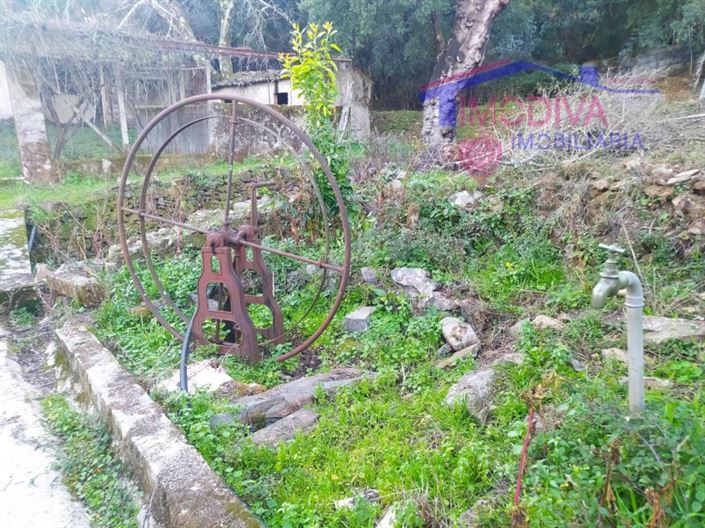 Image No.40-3 Bed House for sale