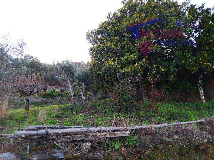 Image No.41-3 Bed House for sale