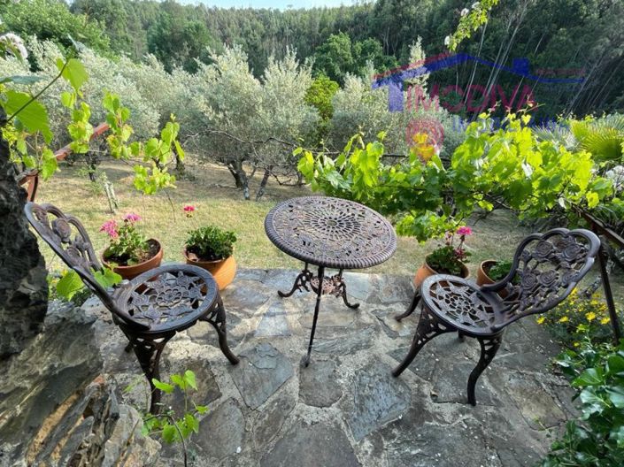 Image No.23-5 Bed Farmhouse for sale