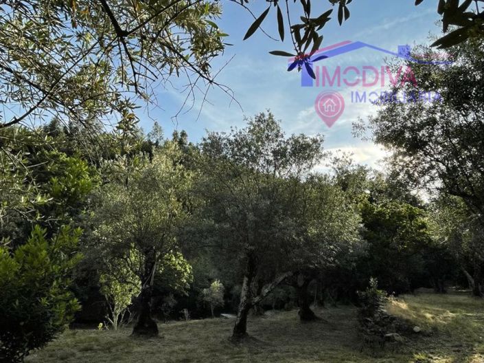 Image No.33-5 Bed Farmhouse for sale