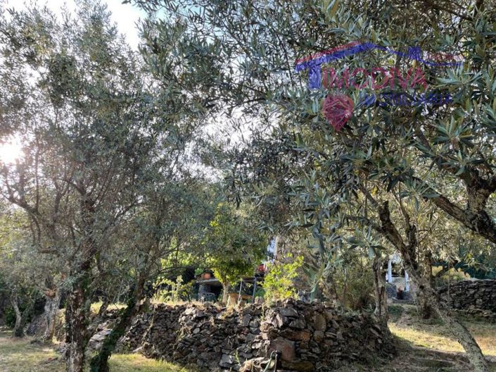 Image No.35-5 Bed Farmhouse for sale