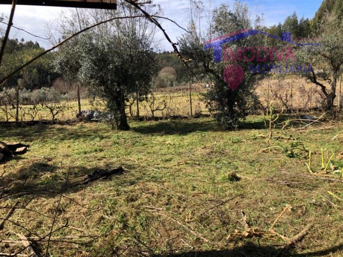 Image No.36-5 Bed House for sale