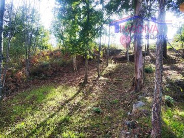 1 - Pedrógão Grande, Plot