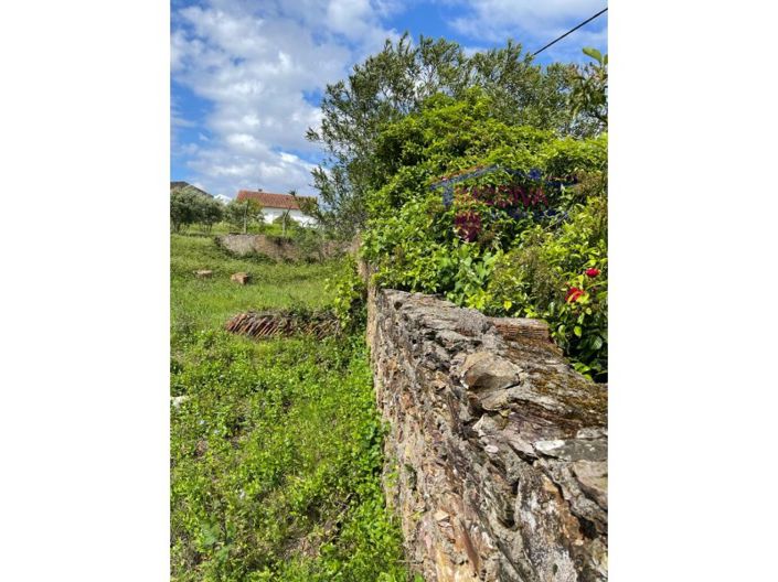 Image No.25-Plot for sale