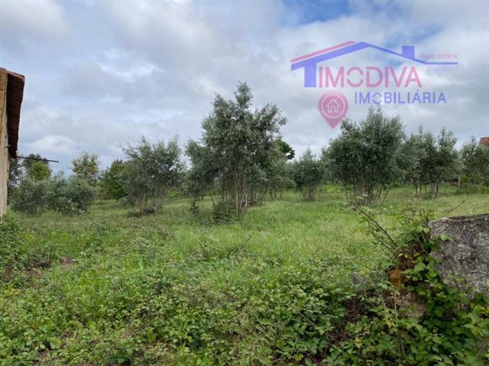 Image No.30-Plot for sale