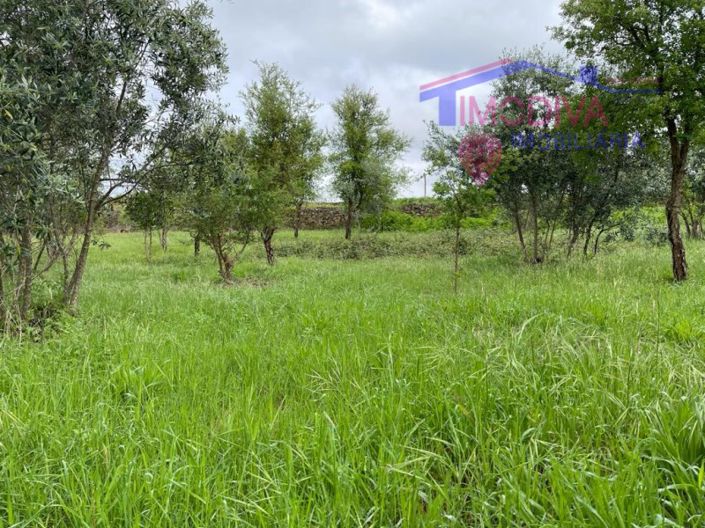 Image No.29-Plot for sale