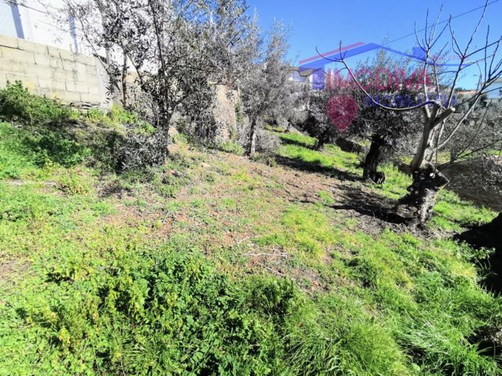 Image No.32-4 Bed House for sale