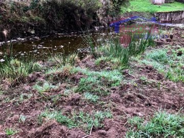 id0b397301-0000-0500-0000-0000121a068e