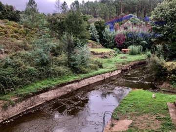 id0b397301-0000-0500-0000-0000121a068f