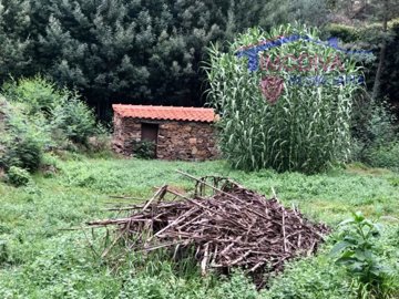 id0b397301-0000-0500-0000-0000121a068a