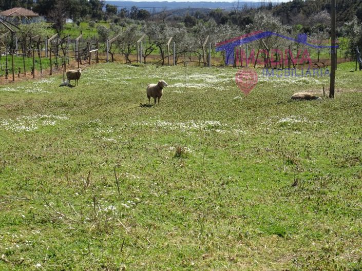 Image No.2-House for sale