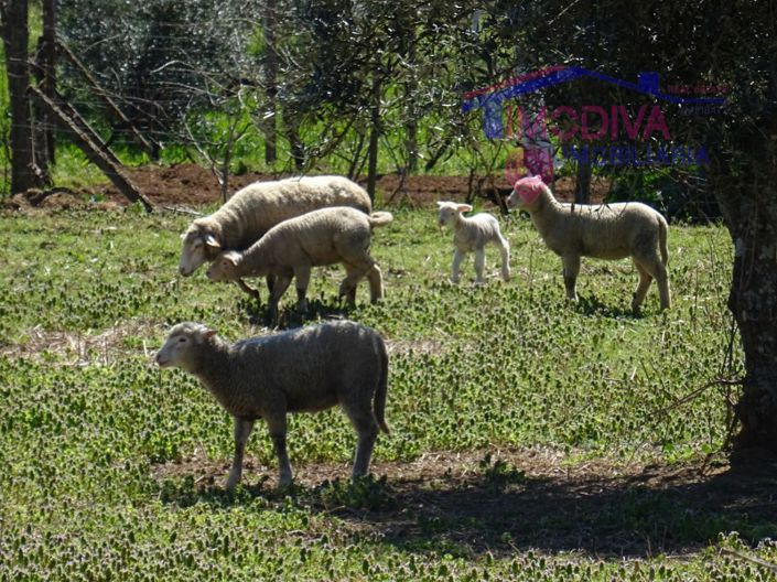 Image No.23-House for sale