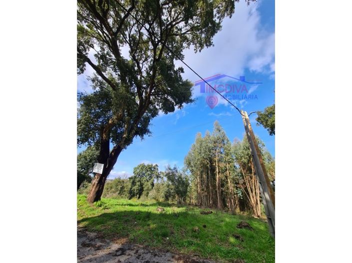 Image No.15-Plot for sale