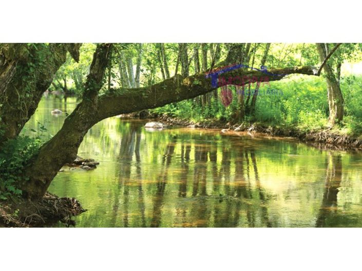 Image No.18-Plot for sale