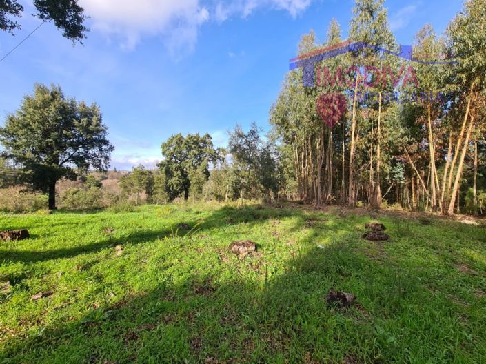 Image No.4-Plot for sale