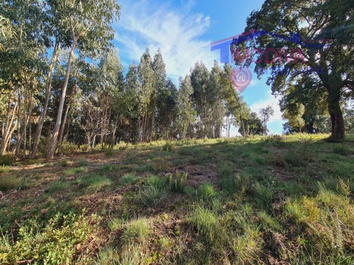 Image No.8-Plot for sale