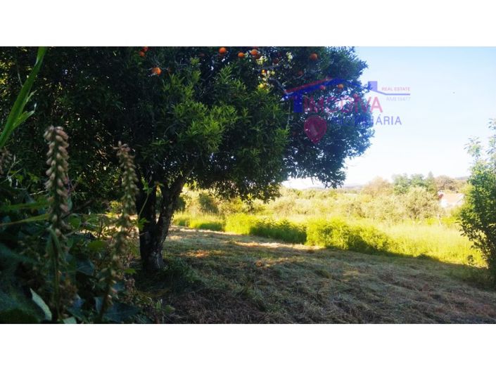 Image No.33-2 Bed Farmhouse for sale