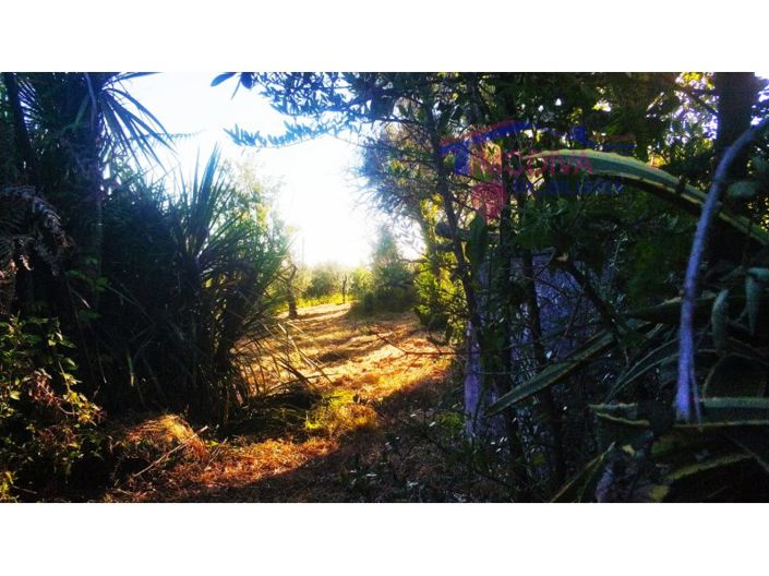 Image No.35-2 Bed Farmhouse for sale