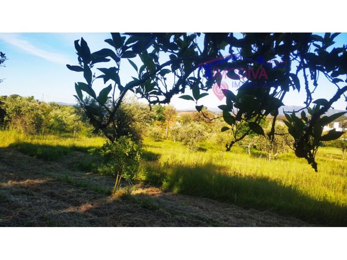 Image No.38-2 Bed Farmhouse for sale