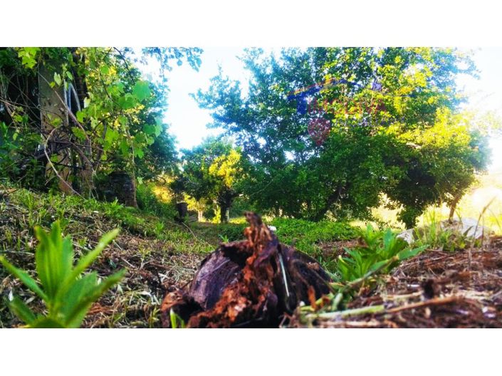 Image No.39-2 Bed Farmhouse for sale