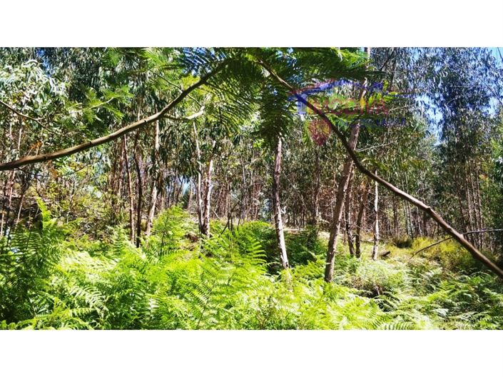 Image No.11-Plot for sale