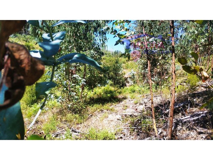 Image No.12-Plot for sale