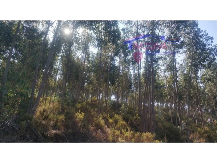 Image No.3-Plot for sale