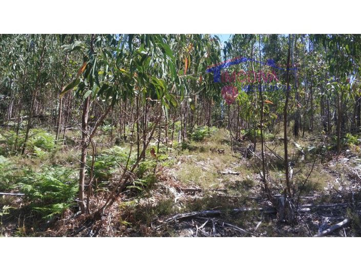 Image No.8-Plot for sale