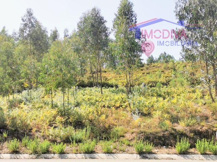 Image No.4-Plot for sale