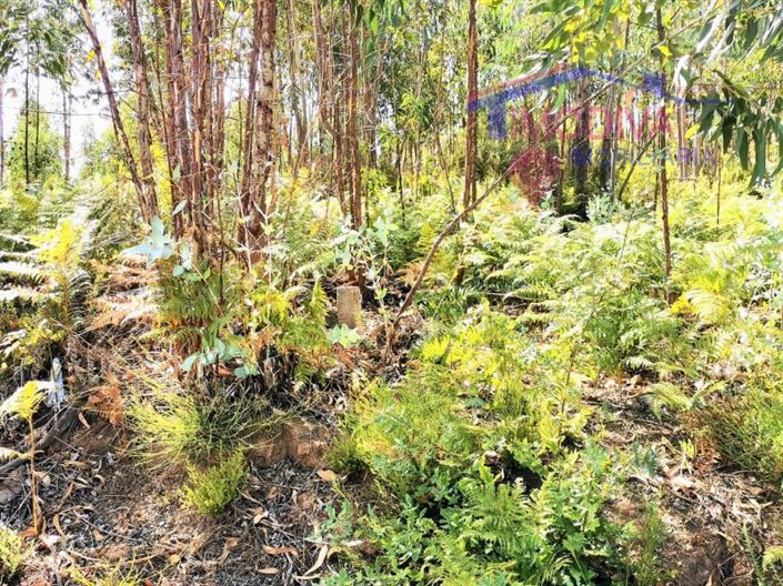 Image No.8-Plot for sale